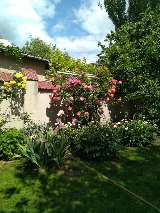 Апартаменты В Частном Доме В Аркадии Oldenburg Bagian luar foto